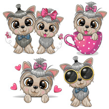 Set Of Cute Cartoon Dogs Yorkshire Terrier Boy And Girl