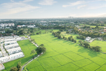Wall Mural - land, landscape of green field in aerial view. include agriculture farm, house building, village. th