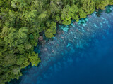 Fototapeta Do akwarium - Lush jungle on a remote tropical island is fringed by a coral reef in the Solomon Islands. This beautiful country is home to spectacular marine biodiversity and many historic WWII sites.
