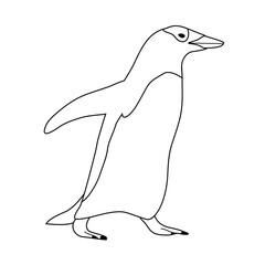 Sticker - Vector hand drawn flat outline penguin isolated on white background