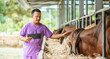 © Johnstocker - Asian young farmer man with tablet pc computer and cows in cowshed on dairy farm. Agriculture industry, farming, people, technology and animal husbandry concept.