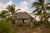 Fototapeta Sawanna - Eco-friendly tribal hut with thatched roof,