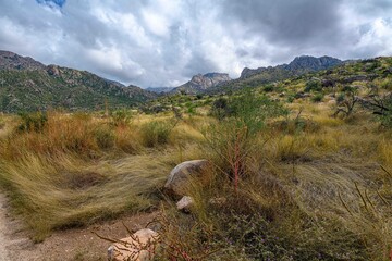 An overlooking view in Catalina SP, Arizona