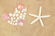 Heart of conch and white shells, starfish on sand. Valentine's day, travel, vacation