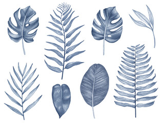 Watercolor set of Blue tropical leaves. Illustration of tropical leaf, tropical greenery
