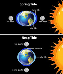 Wall Mural - diagram showing earth tides