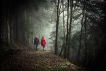 Two People Walking In The Foggy Forest