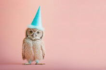 A Cute Little Birthday Owl With Birthday Cap Celebrating His Birthday, Symbol Of Love. Pastel, Creative, Animal Concept. Birthday Party For Owls. Illustration. Generative AI.