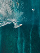 Aerial view with surfier riding on ocean wave. Perfect waves with surfers in ocean
