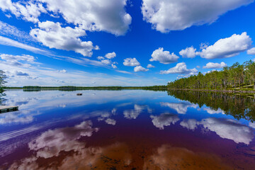 Wall Mural - Beautiful lakeside view in Sweden