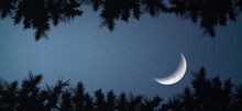 Moon Crescent Between Forest Trees In Calm Night