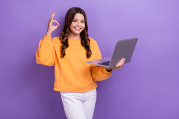 Sticker - Photo of confident pretty lady wear orange sweatshirt showing okey writing gadget empty space isolated violet color background