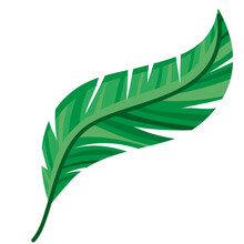 Green Feather Design