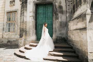 Wall Mural - Beautiful luxury bride in elegant white dress