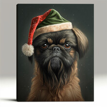 Brussels Griffon In Christmas Outfit