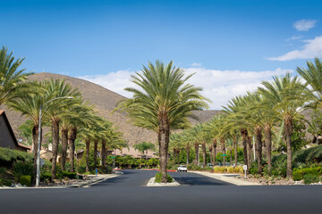 Beautiful road lined with palm trees with the background of hill and sky, Oasis Community, Menifee, California, USA