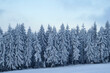 © Designpics - Winter landscape in the morning, Wasserkuppe mountain in the Rhon Mountains; Gersfeld, Hesse, Germany