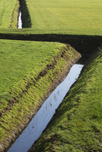 Close-up Of Water Ditches In Grassland; Wolphaartsdijk, Zeeland, Netherlands