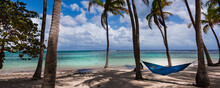 Hammock Between The Palm Trees, Caravelle Beach, Sainte-Anne, Guadeloupe, French West Indies