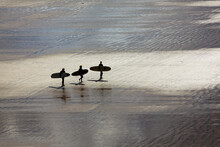 Surfers In Silhouette, Heading Towards The Surf.; Saunton Sands, Barnstaple, Devon, England, Great Britain, United Kingdom.