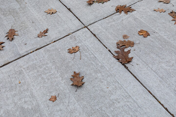 Wall Mural - Gray concrete sidewalk with diagonal joints and brown fall leaves, creative copy space background, horizontal aspect