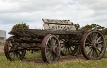 Old Wooden, Four-wheeled Cart With Rusted Metal Wheels. A Sign On Top Reads 'Emu Bay Lavender'.