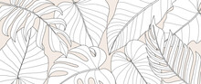 Hand Drawn Line Art Leaf Branch Background Vector. Tropical Monstera And Palm Leaves Black White Drawing Contour Simple Style Background. Design Illustration For Prints, Wallpaper, Poster, Card.