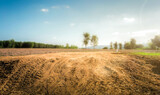 Empty dry cracked swamp reclamation soil, land plot for housing construction project with car tire print in rural area and beautiful blue sky with fresh air Land for sales landscape concept.