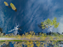 Aerial View Of Gum Trees And Flooded Farmland With Reflections Of The Sky Above