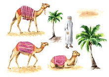 Camels With Bedouin Set. Hand Drawn Watercolor Illustration Isolated On White Background