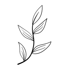 Wall Mural - botanical line icon