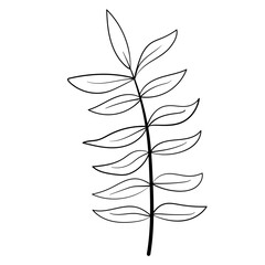 Poster - botanical line icon