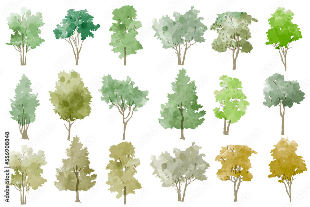 Vector illustration of an architectural tree for landscape design in a ...