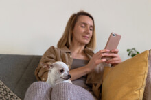 Small Dog Sitting On Lap Of Woman Using Vet App On Phone.