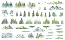 Watercolor Forest Tree Illustration. Mountain Landscape. Woodland Pine Trees. Green Forest. PNG Image With Transparent Background.