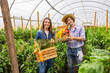 Cheerful greenhouse workers showing off the harvest of vegetables