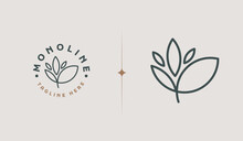 Leaf Flower Tree Monoline. Universal Creative Premium Symbol. Vector Sign Icon Logo Template. Vector Illustration