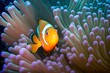 Images of colorful clownfish and endearing anemone fish in a coral reef setting. Generative AI