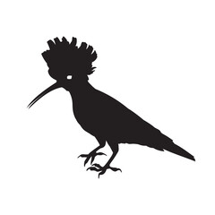 Elegant Hoopoe: Vector Silhouette of Hoopoe Bird on White Background