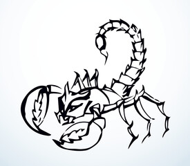 Wall Mural - Big scary scorpion. Vector drawing