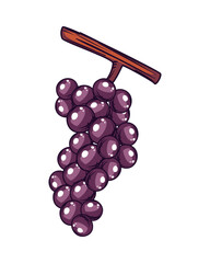 Sticker - flat grapes design