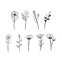 Black Line Doodle Long Stem Flowers On White Background. Vector Illustration About Nature.