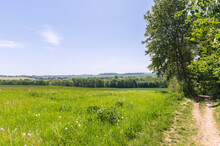 Beautiful Green Meadow With Hiking Path And Tree Under A Blue Sky In Spring Summer