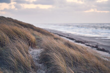 Dunes At Danish Coastline In Winter. High Quality Photo