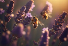 A Bee Flying Over A Bunch Of Lavender Flowers In A Field Of Lavenders In The Sunlight. Generative AI