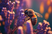 A Bee Is Sitting On A Purple Flower With A Blurry Background Of Yellow And Purple Flowers And A Blurry Background Of Blue And Pink.