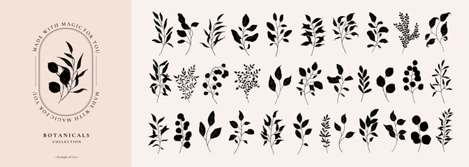 Set of black silhouette floral line art branch, leaf, plants for logo template, invitation save the date card. Botanic pencil sketch isolated on white. Hand drawn wedding branches vector illustration