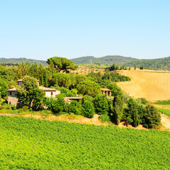 Poster -  Chianti Region