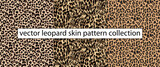 vector leopard skin seamless pattern illustration background, leopard skin textile fashion design for fabric print