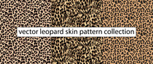 Vector Leopard Skin Seamless Pattern Illustration Background, Leopard Skin Textile Fashion Design For Fabric Print